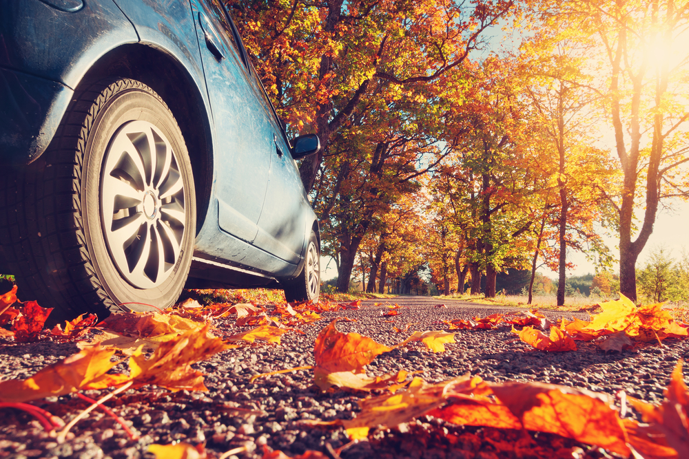 Car,on,asphalt,road,on,autumnr,day,at,park